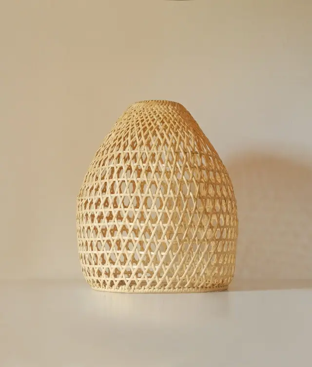 Dome Pendant Lamp -