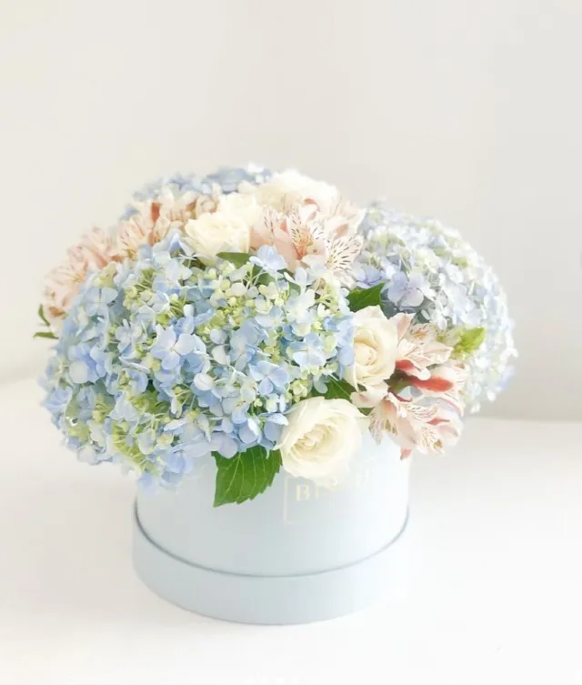 Gift your loved one a beautiful arrangement of white roses and blue hydrangeas in a round light blue box