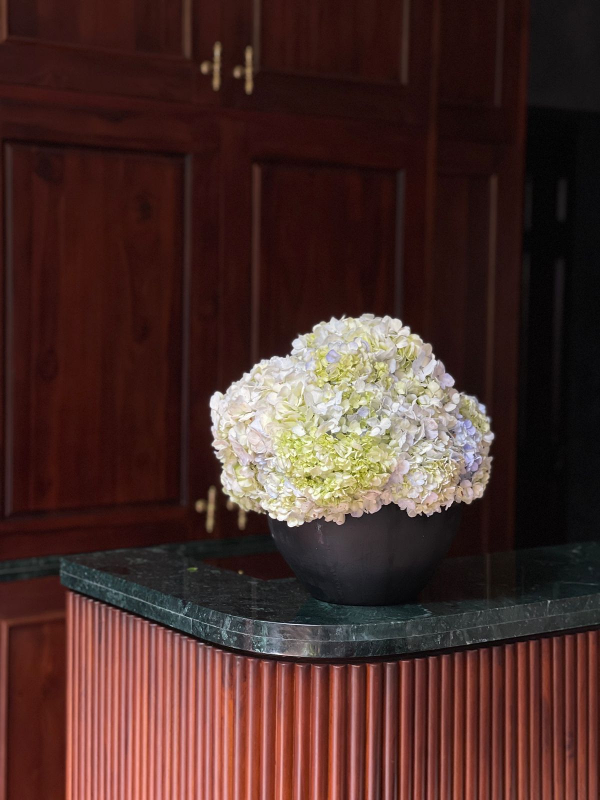 Delight your loved ones with a charming hydrangea arrangement, beautifully arranged in a small black small pot, featuring approximately 23 vibrant blooms. A thoughtful gesture to bring joy and a touch of natural elegance into their world