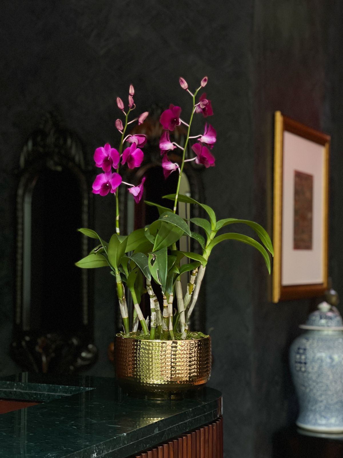 Surprise your loved one with the timeless elegance of Purple Dendrobium Orchids, beautifully arranged in a petite, luxurious gold pot. This gift symbolizes purity, love, and sophistication, making it perfect for any special occasion