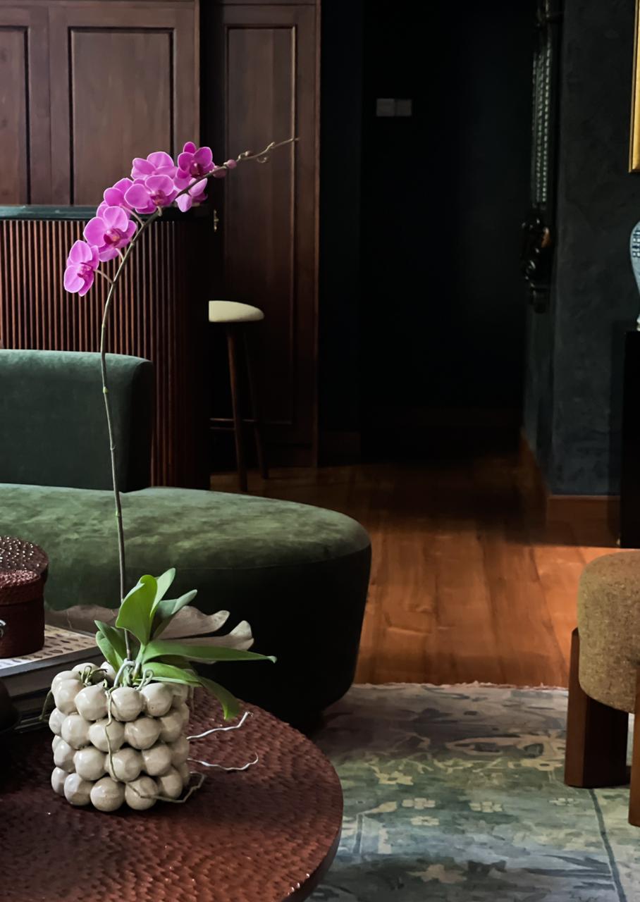 Luciana | Single Phalaenopsis Plant in a Grey Ceramic Pot -