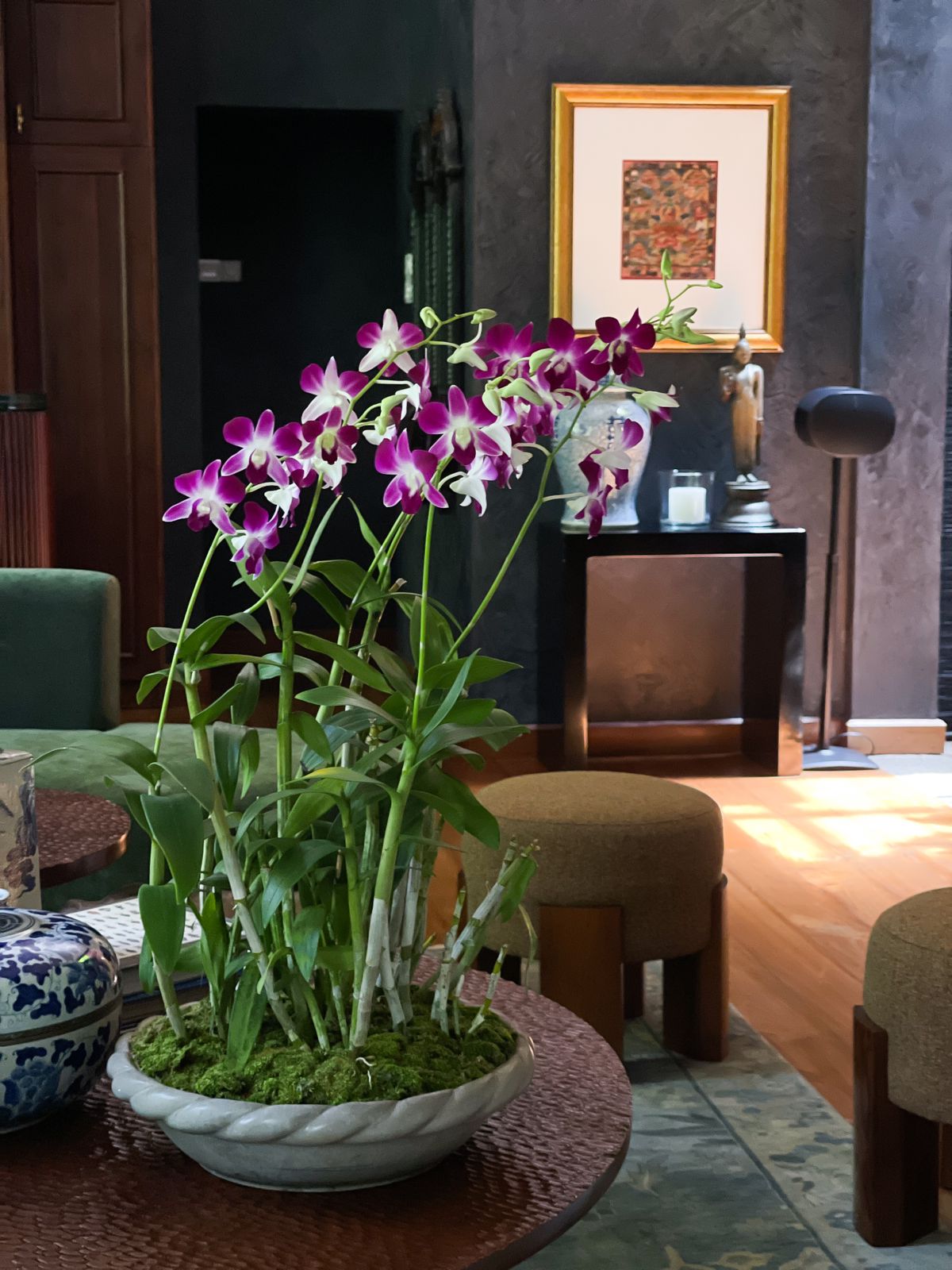 beauty of Purple Dendrobium Orchids. This stunning arrangement features five graceful stems adorned with vibrant golden blooms, symbolizing joy, prosperity, and new beginnings.