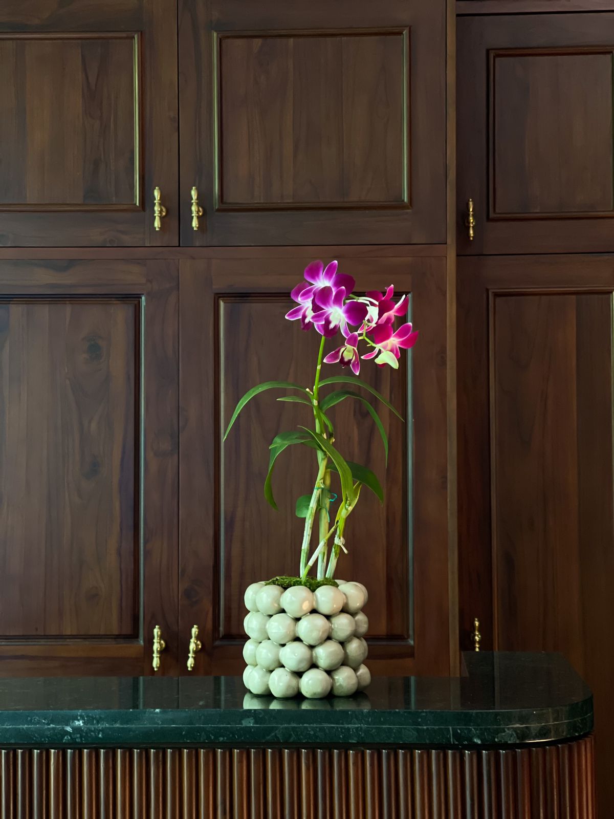 Surprise your loved one with the timeless beauty of a Purple Dendrobium Orchid, a symbol of grace, strength, and admiration. Nestled in an elegant grey ceramic pot, this exquisite tabletop arrangement exudes sophistication and charm